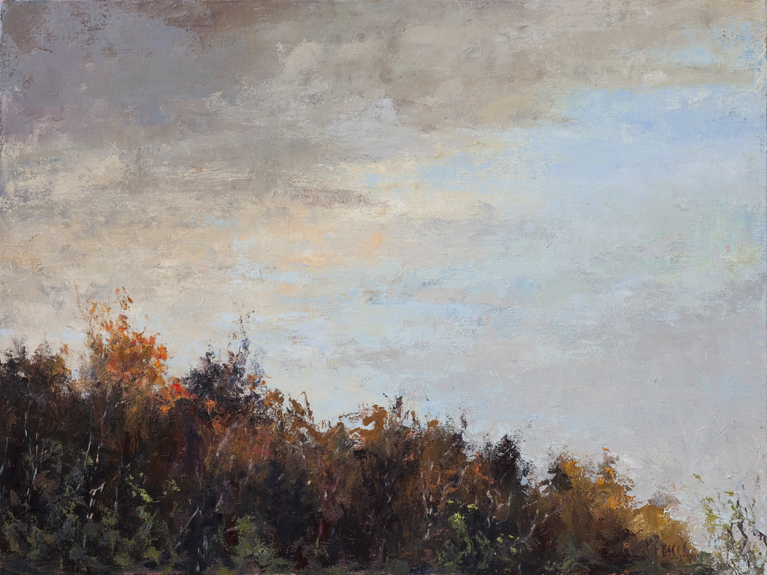 Spring Sky by Priscilla Fossek